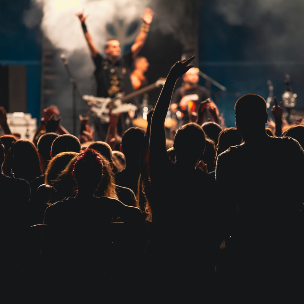 Crowd at a concert, music & performance protection